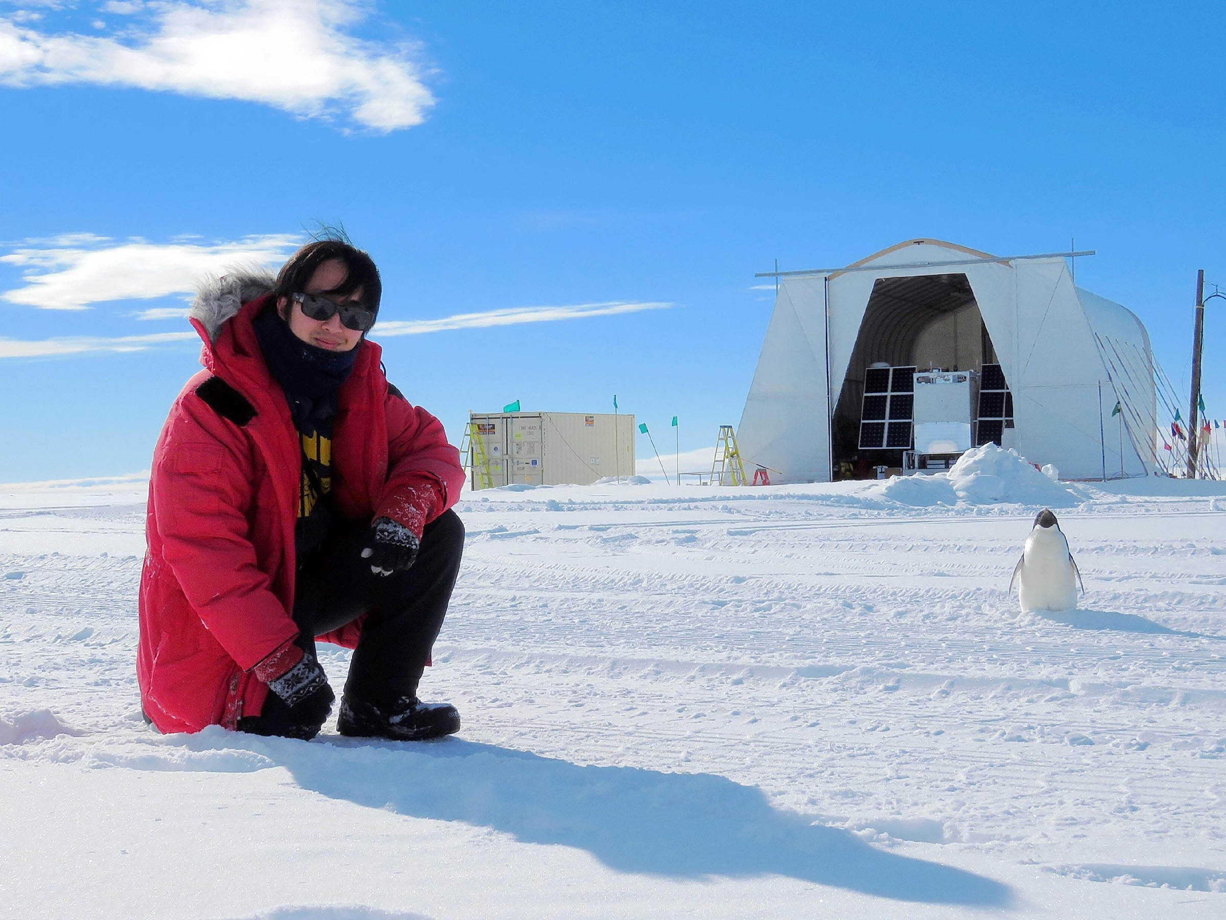 阿德利企鵝造訪氣球科研區